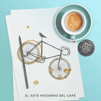 GIF by BNN México
