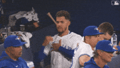 Blue Jays Baseball GIF by Toronto Blue Jays