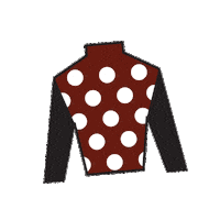 Horse Racing Sticker by Kentucky Derby