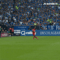 Champions League Football GIF by FC Bayern Munich
