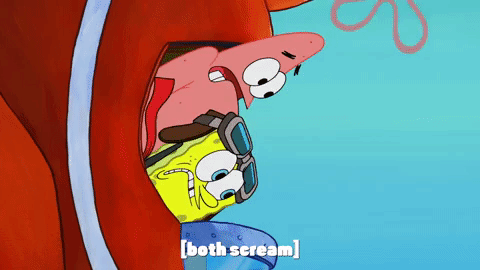 season 9 episode 24 GIF by SpongeBob SquarePants