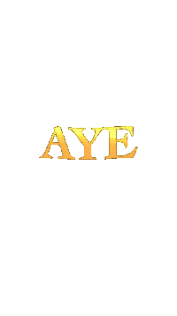 Aye Sticker by Mereba