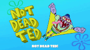 episode 1 GIF by SpongeBob SquarePants