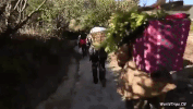 minorities shao shu min zu GIF