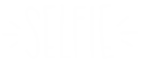 Selfie Sticker