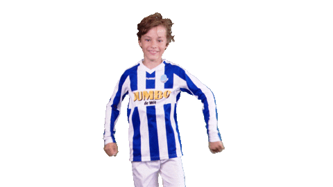 Voetbalvereniging_Scherpenzeel giphyupload sport voetbal bal Sticker