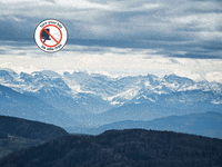 You Can Wow GIF by FranchiseONE.de
