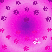 Motivation Positivity GIF by SweetRooBou