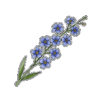 Flower Beutiful Sticker