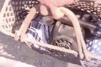 phone basket GIF