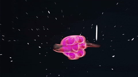 Finish Him Knock Out GIF by Motoko World