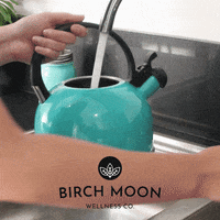 birchmoon water tea cup tea time GIF