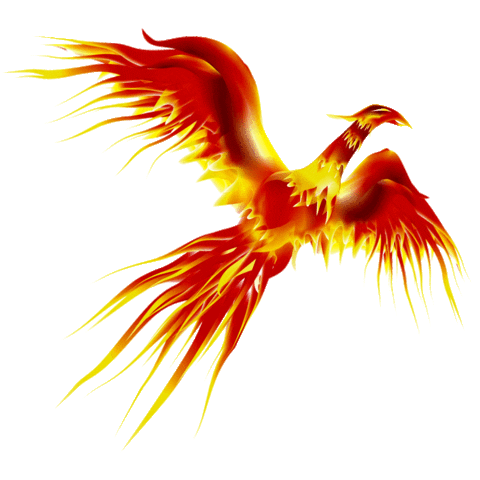 Phoenix Sticker by Share The Bird