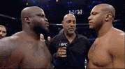 Derrick Lewis Sport GIF by UFC