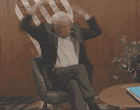 Bernie GIF by Nico Daunt