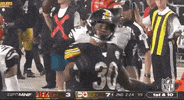 Regular Season Football GIF by NFL