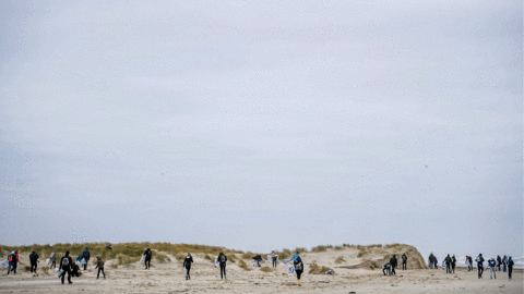 terschelling trouw GIF