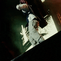 Asap Rocky Lollapalooza GIF by Respective