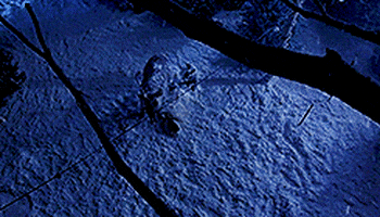 snow snowing GIF by MGM Christmas