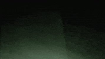 sasquatch GIF by Ice Cube