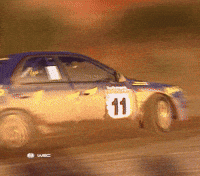 Motorsports Subaru GIF by FIA World Rally Championship