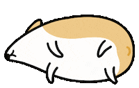Walkingtomi dog no corgi annoying Sticker