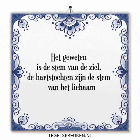 Nl Spreuk GIF by Tegelspreuken.nl