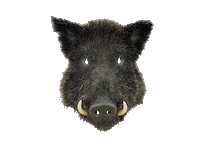 Robots Hunting Sticker by Woodblock