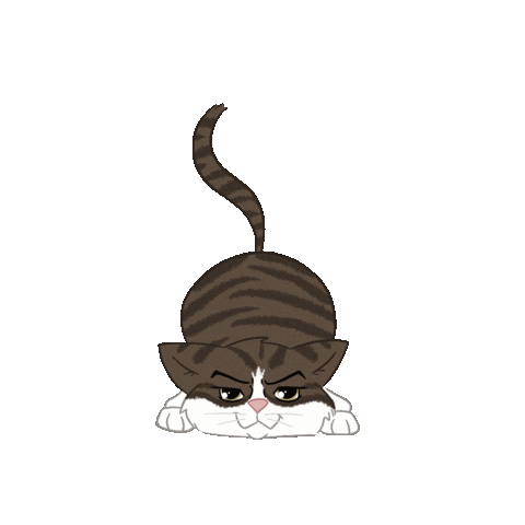 Galsanch giphyupload cat motivation chat Sticker