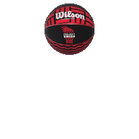 Wilson Sticker by Basketball England