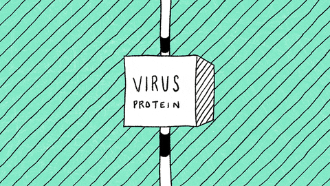 Science Museum Virus GIF by American Museum of Natural History