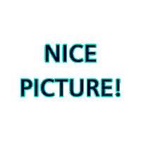 Picture Photo Sticker by Siemens
