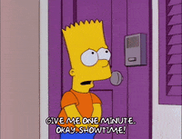 bart simpson episode 20 GIF