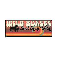 Texas Dallas Sticker