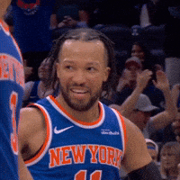Happy New York Knicks GIF