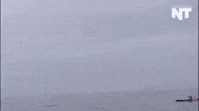 kayaking humpback whale GIF by NowThis 