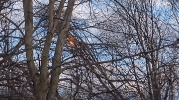 Power Line Burns After 'Historic' Wind Storm in Kentucky