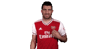 arsenal football soccer come on greece Sticker