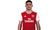 arsenal football soccer celebrate futbol Sticker
