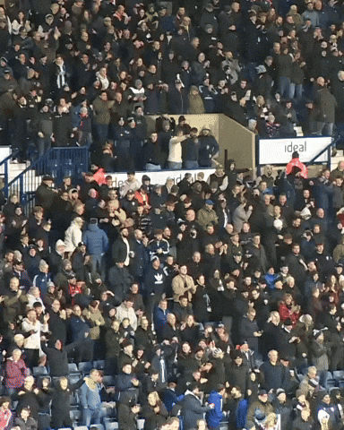 West Brom Fans GIF by West Bromwich Albion