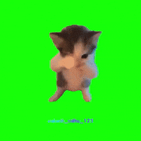 Scuba Dancing GIF