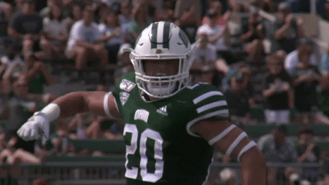 OhioBobcats giphyupload football cats ncaa GIF