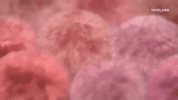 GIF by SLUTEVER