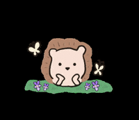 suominokurashi ハリネズミ 北欧 フィンランド suomiの暮らし GIF