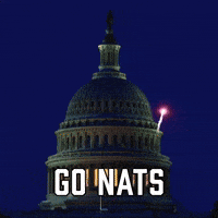 Go Nats