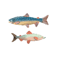 Fish Sticker by WiegederSchweiz