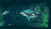 hungry-shark game shark sharks ubisoft GIF