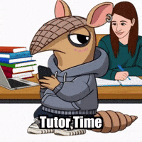 Homework Armadillo GIF by Chillo Dillo