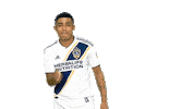Los Angeles Galaxy Sticker by LA Galaxy