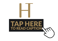 Hen Best Sticker by The Henbest Team